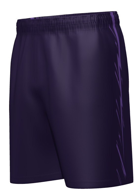 Rayo Shorts Purple
