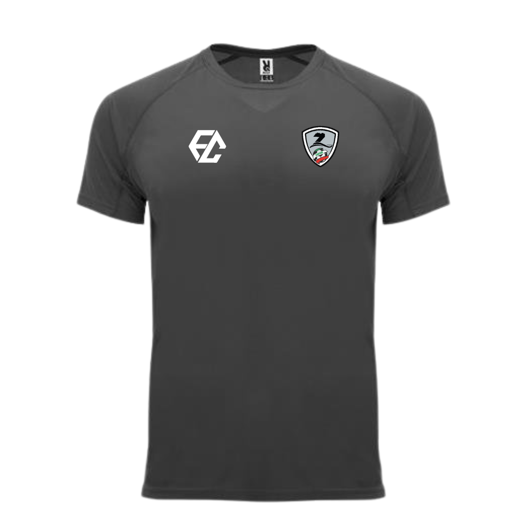 Camiseta Entrenamiento