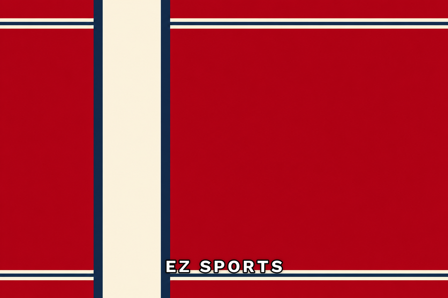 Drapeau Estandarte