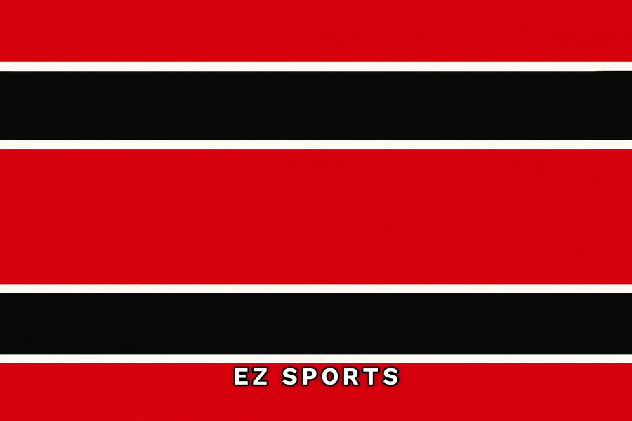 Bandeira Magma